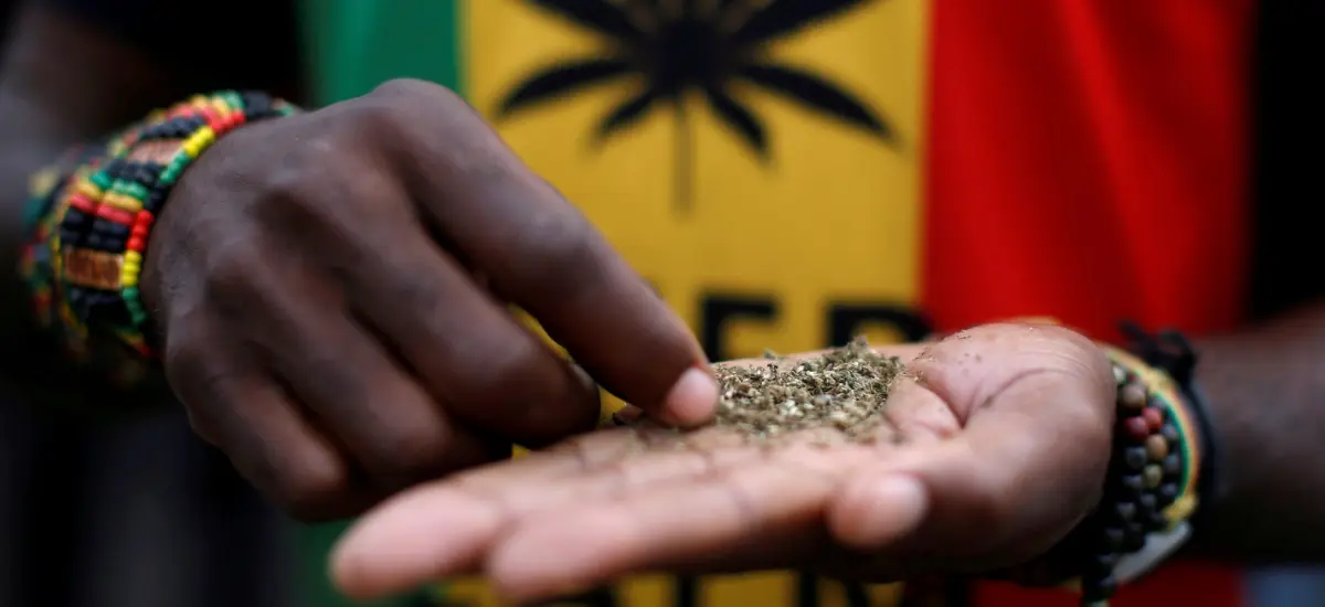 Cannabis e Cânhamo Industrial Racismo